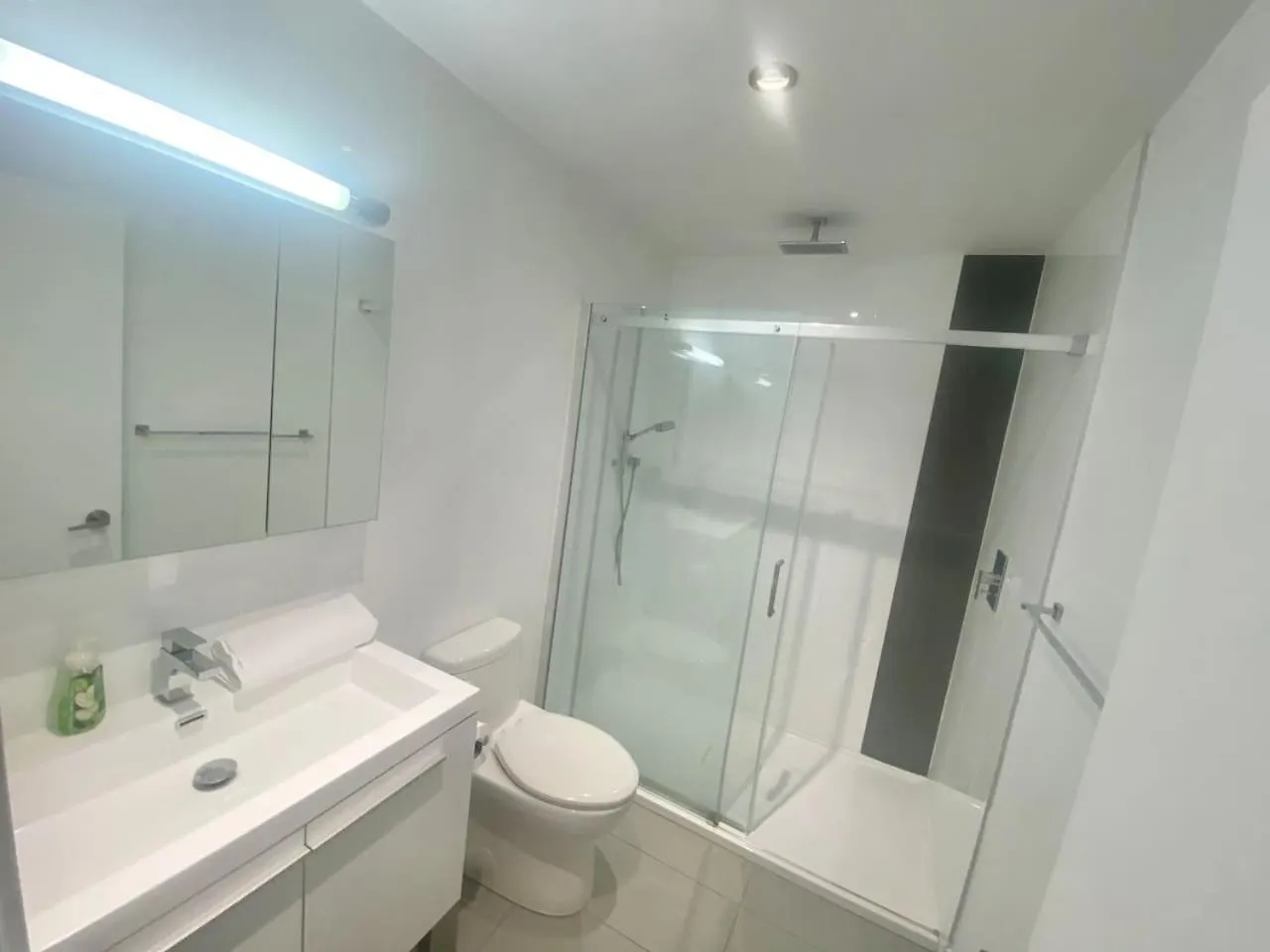 Amazing Loft In Montreal Old Portc Zm9 Apartment Canada